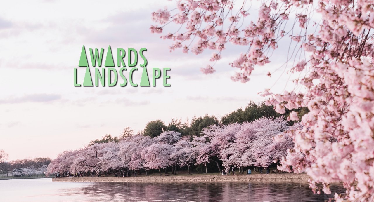 Welcome to Awards Landscape