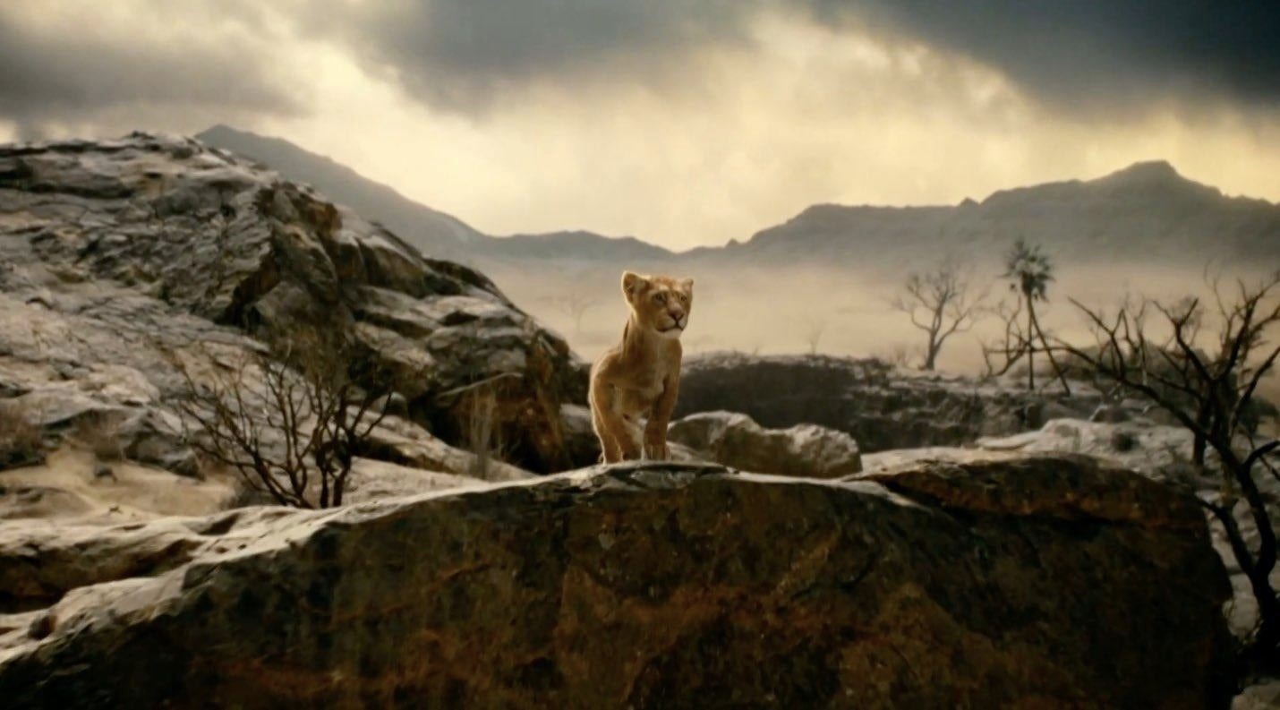 Contender: Mufasa: The Lion King (2024)